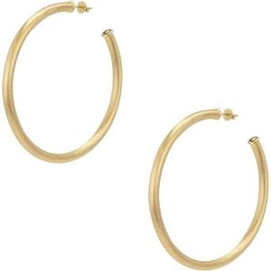 Sheila Fajl Everybody's Favorite Large 2.5" Hoop Earrings in Brush Champagne NEW